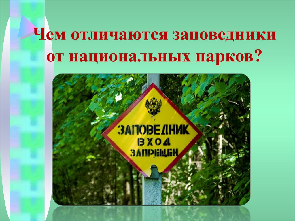 Заповедники заказники национальные парки памятники природы презентация