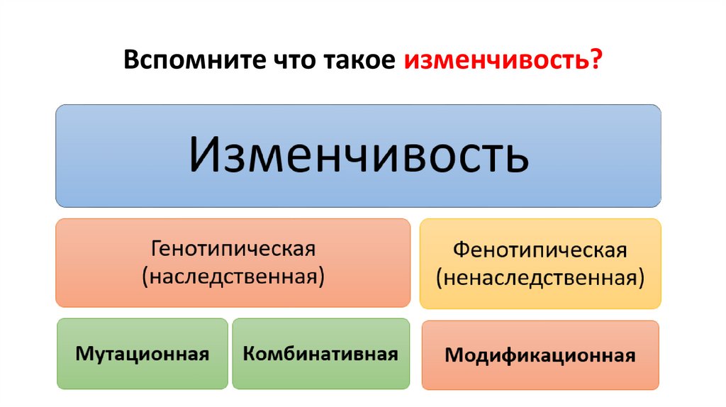 Примеры случайной изменчивости 7 класс