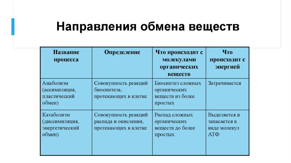 Что такое обмен веществ кратко 6 класс