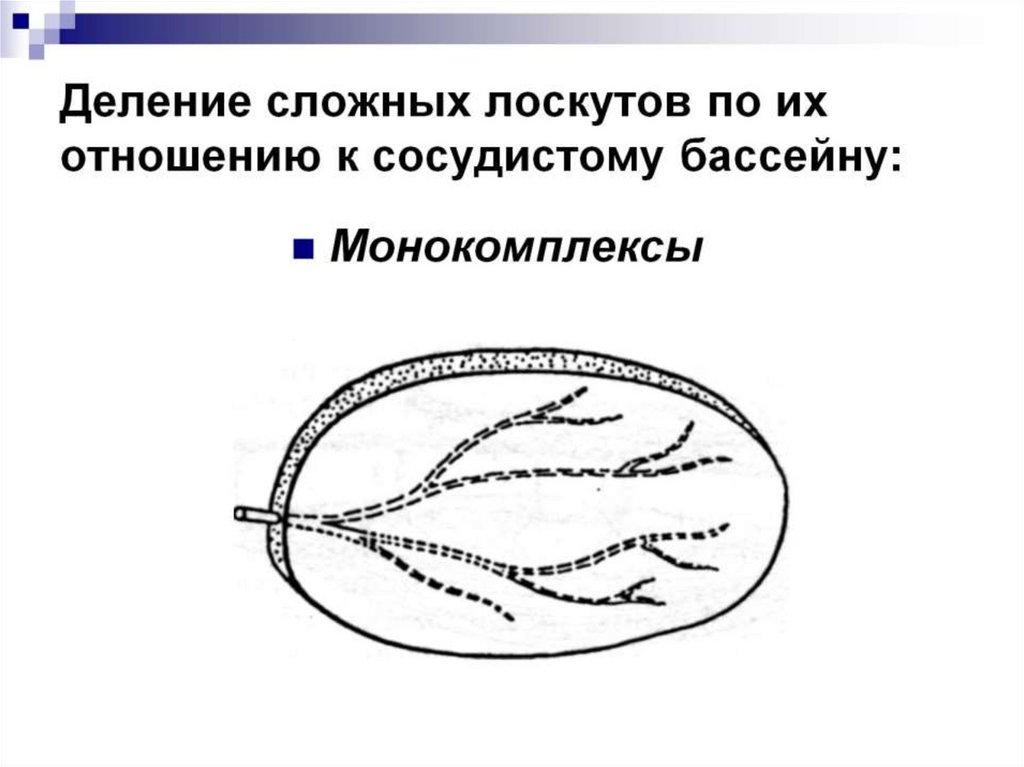 Деление сложных лоскутов по их отношению к сосудистому бассейну: