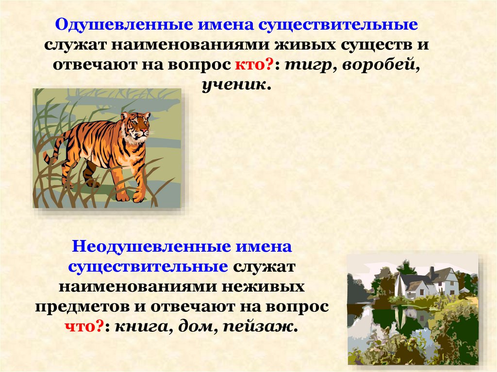 Одушевленные имена существительные служат наименованиями живых существ и отвечают на вопрос кто?: тигр, воробей, ученик.