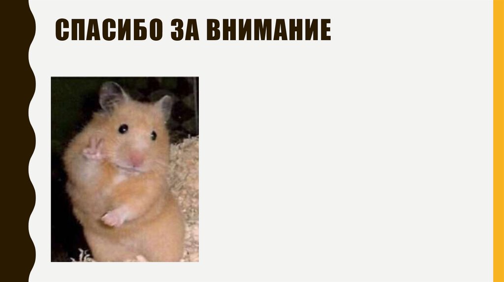 Спасибо за внимание