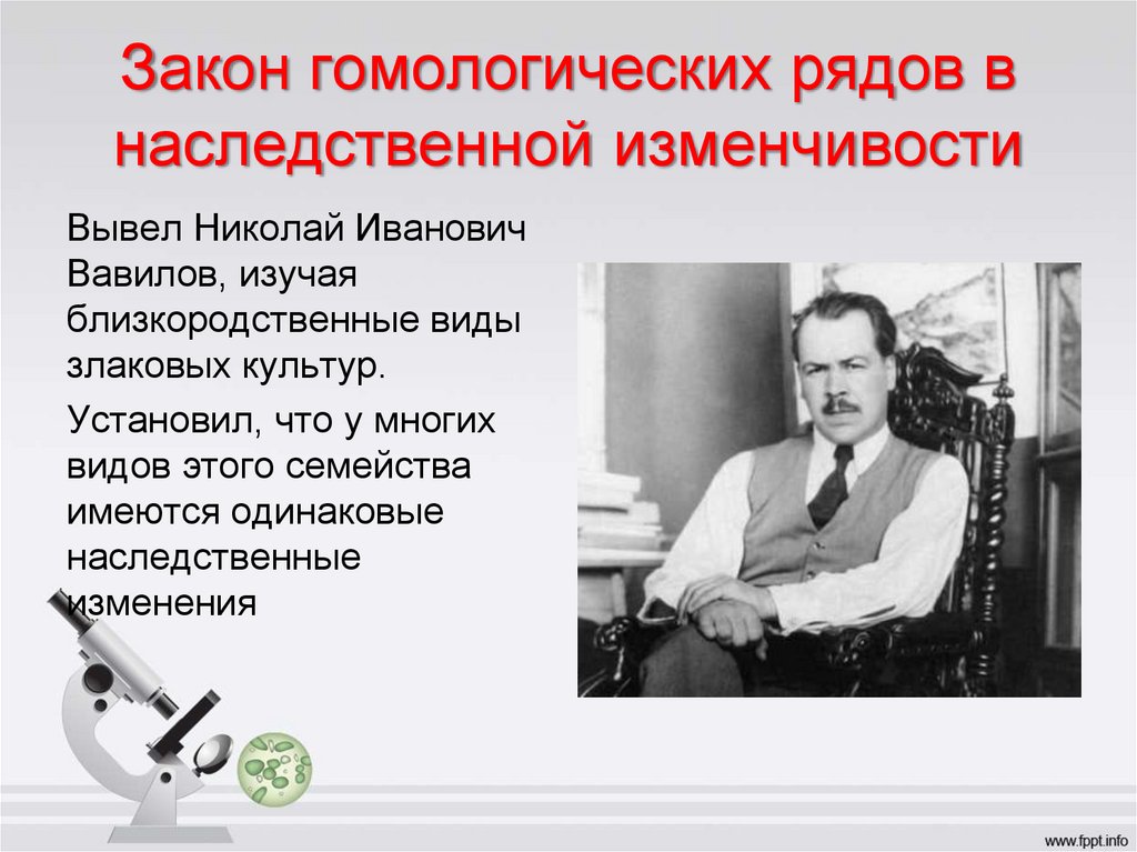 Закон вавилова о гомологических рядах наследственной изменчивости презентация