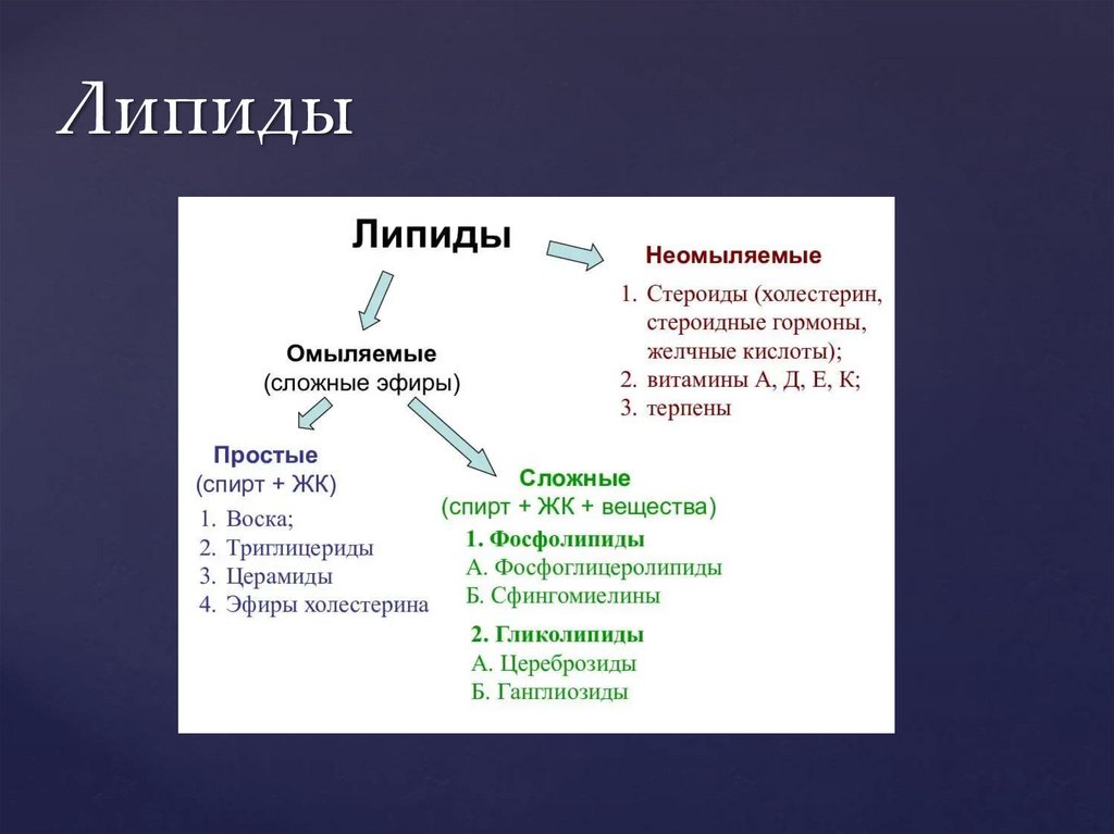 Обмен веществ - презентация онлайн