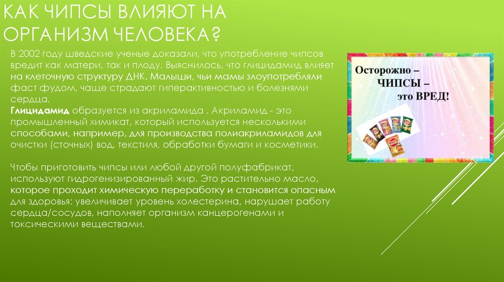 Изучение состава чипсов и их влияние на живой организм проект