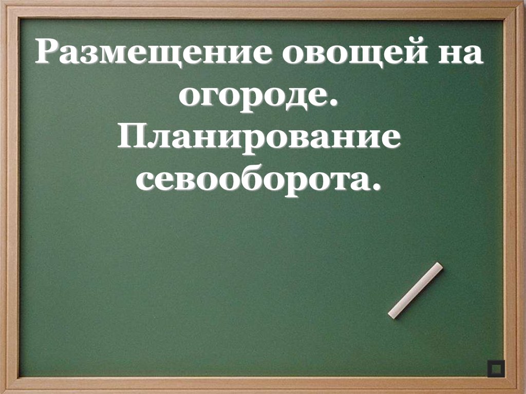 Размещение овощей на огороде. Планирование севооборота.