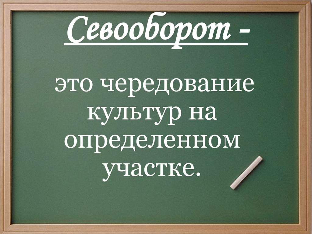 Организация севооборотов презентация