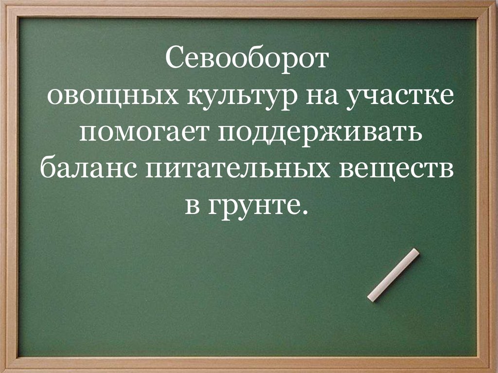 Севооборот овощных культур на участке помогает поддерживать баланс питательных веществ в грунте.