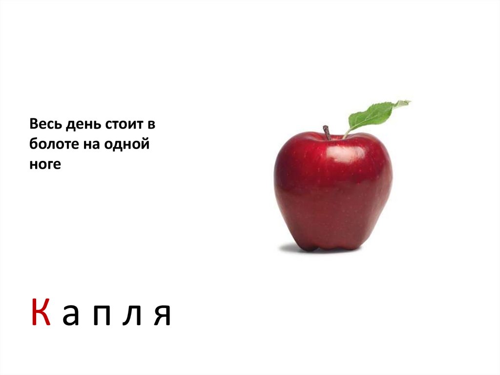 Весь день стоит в болоте на одной ноге