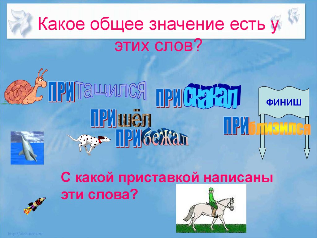 Какое бывает значение слова. Чтобы какое общее значение. Слово финиш. Загадка на слово финиш. Происхождение слова финиш.