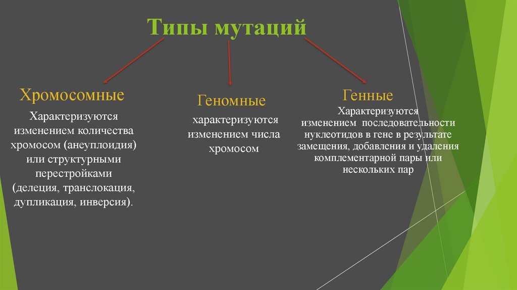 Основные виды мутации. Типы мутаций. Генные геномные хромосомные мутации таблица. Какие виды мутаций вы знаете. Виды мутаций ЕГЭ.