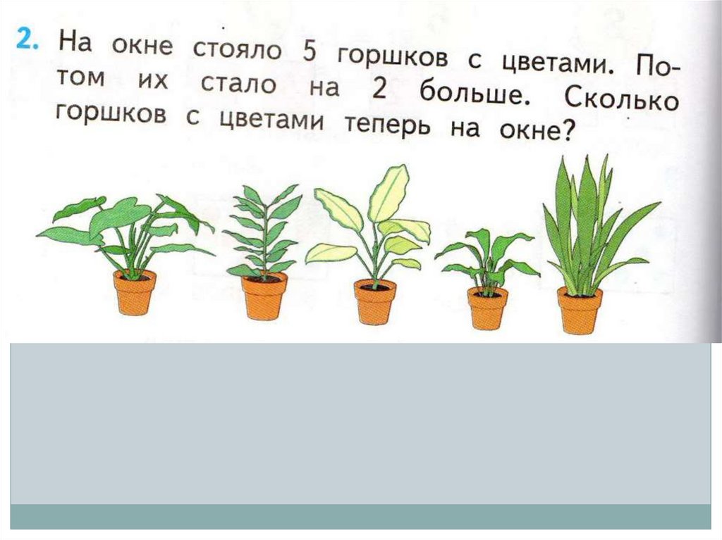 Сколько теперь. Задачи про горшки с цветами. На окне стояло 5 горшков с цветами. На окне стояло 5 горшков с цветами потом. Стало на 2 больше сколько 1 класс.