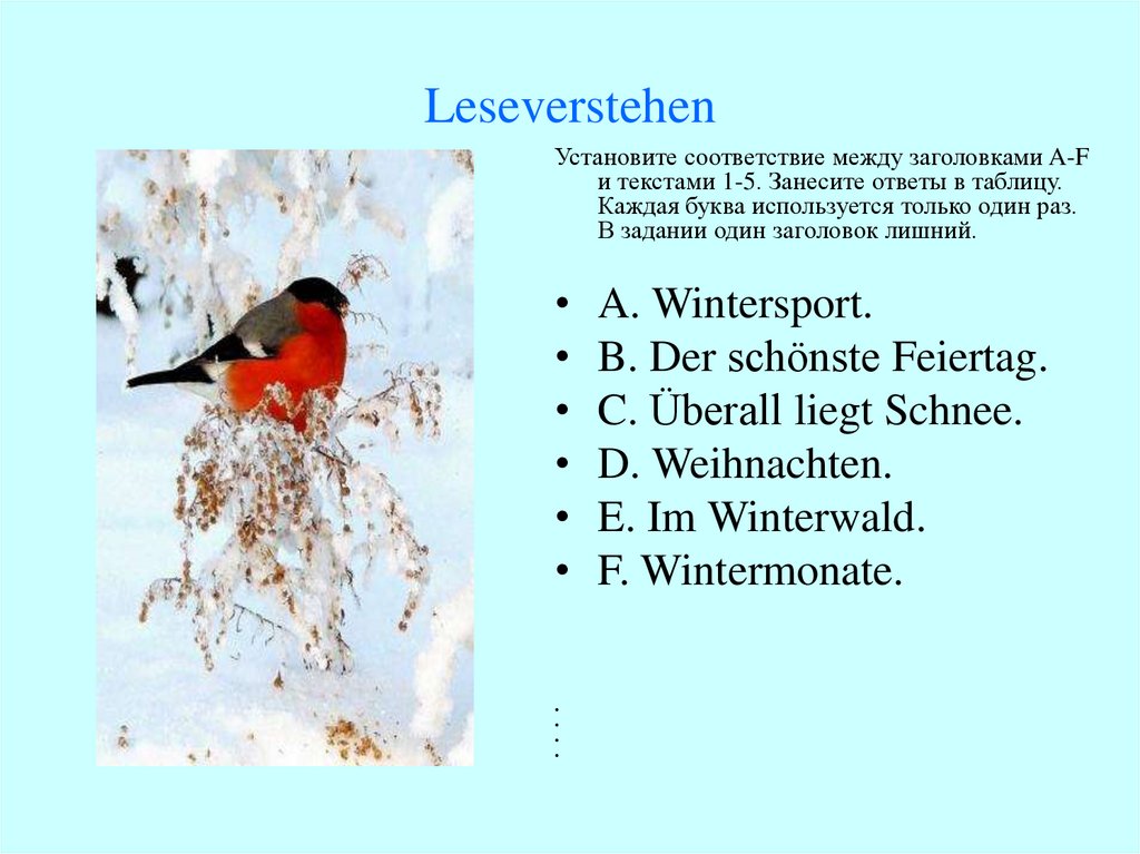 Leseverstehen