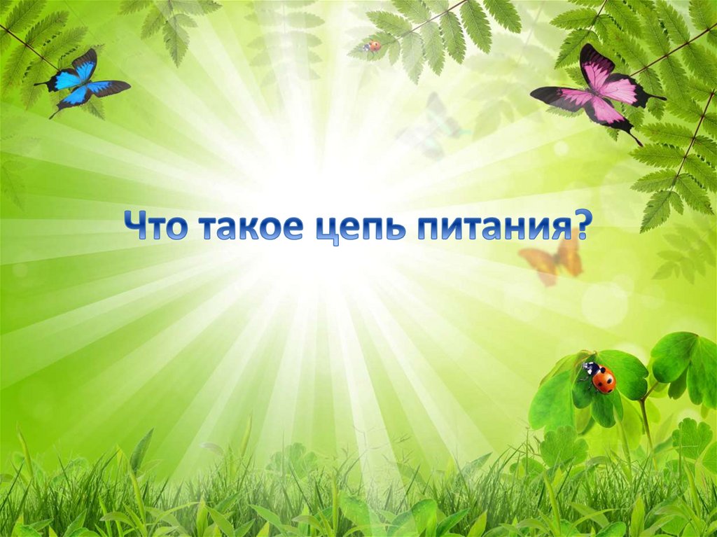 Что такое цепь питания?