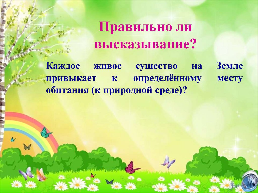 Правильно ли высказывание?