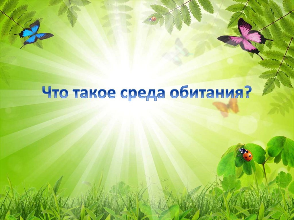 Что такое среда обитания?