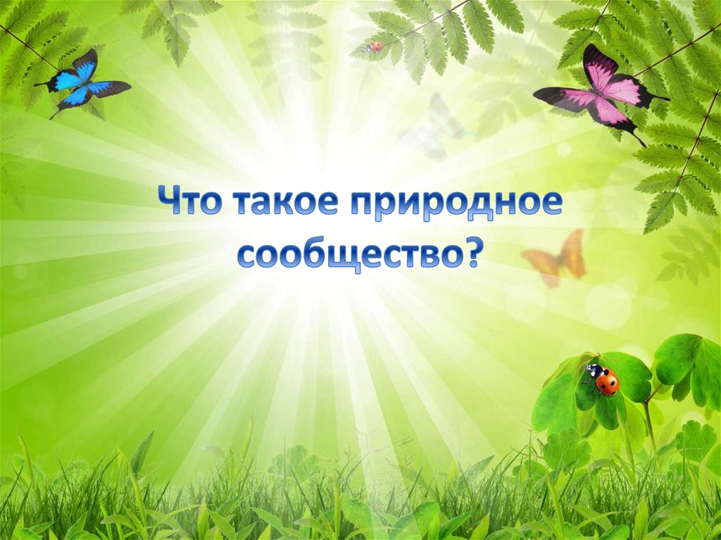 Среда обитания – что это такое? - презентация онлайн