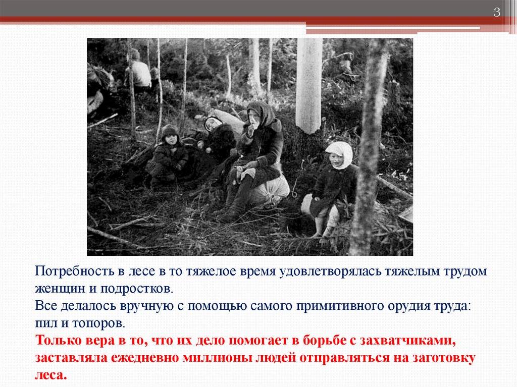 Потребность в лесе в то тяжелое время удовлетворялась тяжелым трудом женщин и подростков. Все делалось вручную с помощью самого