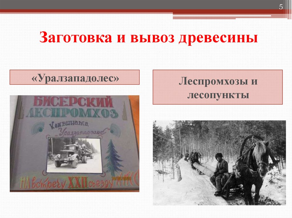 Заготовка и вывоз древесины