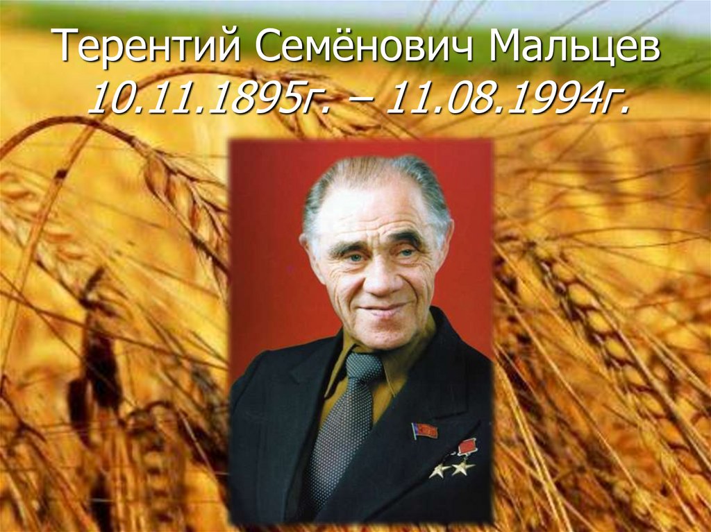 Терентий Семёнович Мальцев 10.11.1895г. – 11.08.1994г.