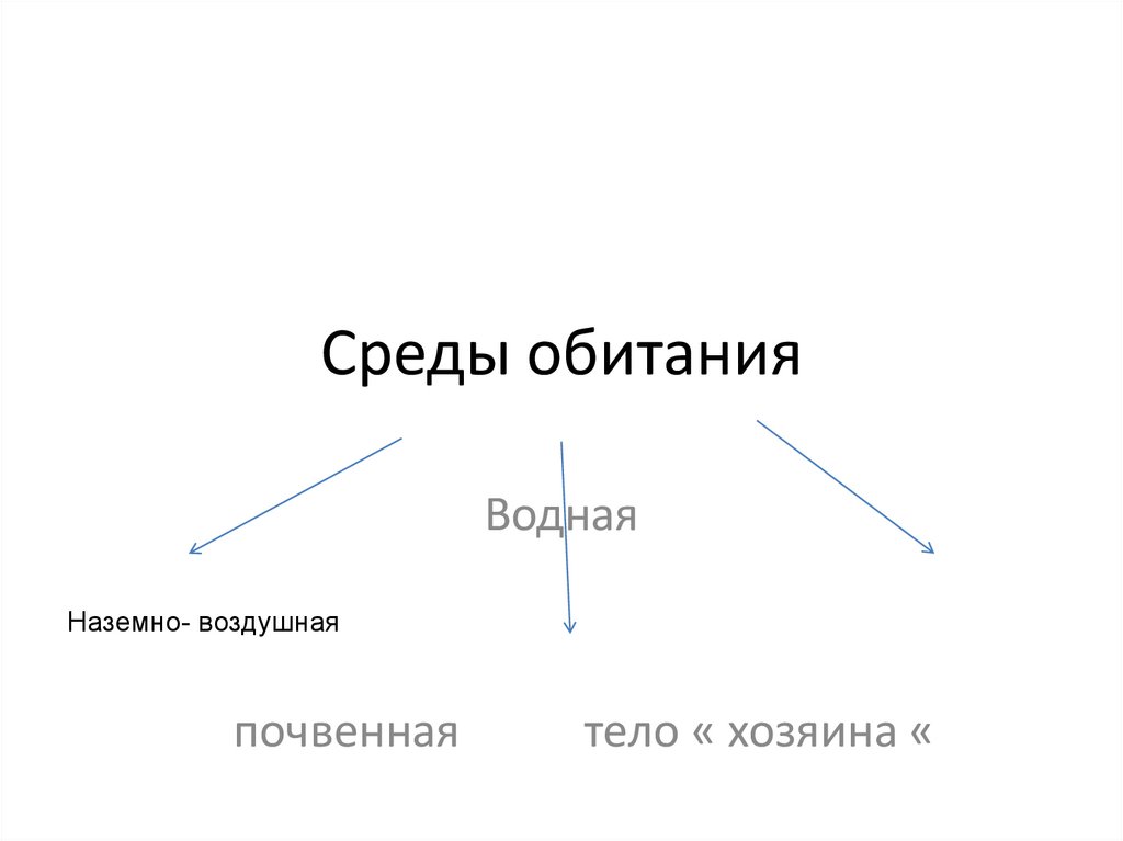 Среды обитания