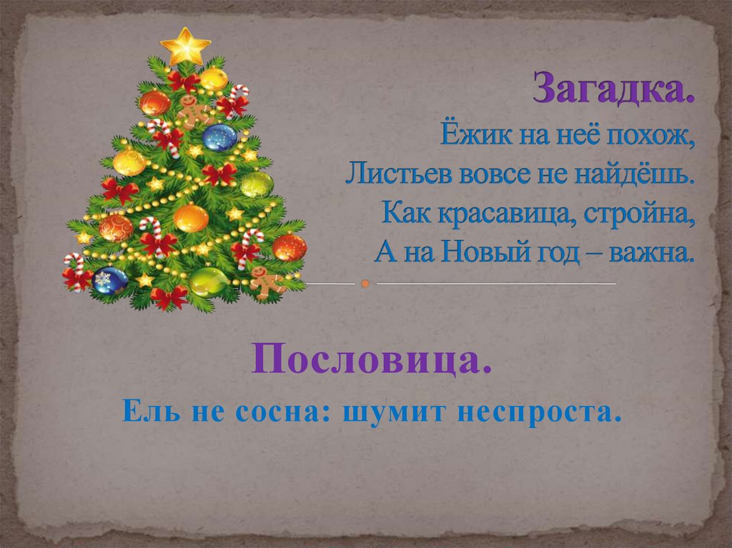 Загадка. Ёжик на неё похож, Листьев вовсе не найдёшь. Как красавица, стройна, А на Новый год – важна.