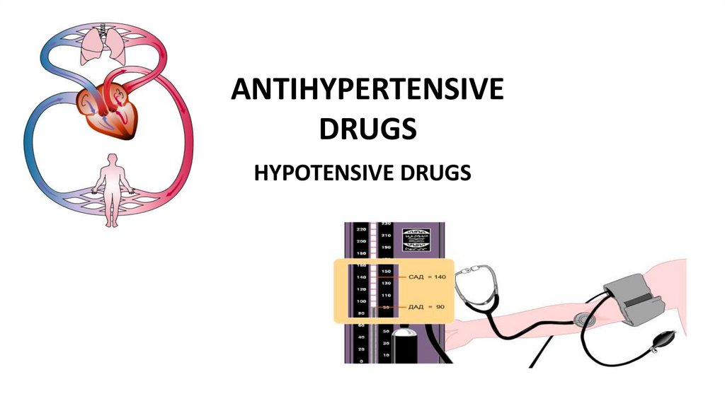 ANTIHYPERTENSIVE DRUGS