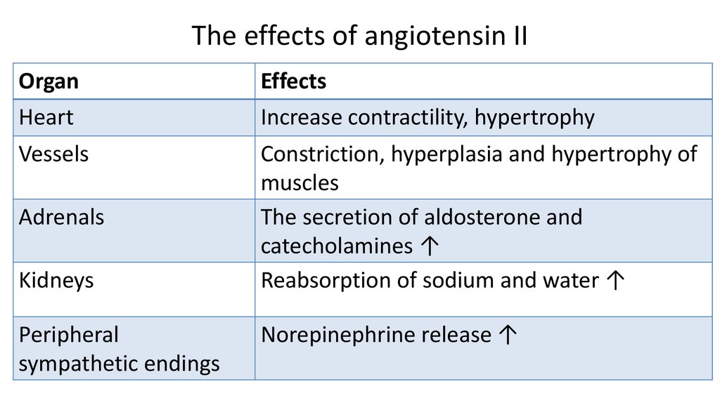 The effects of angiotensin II