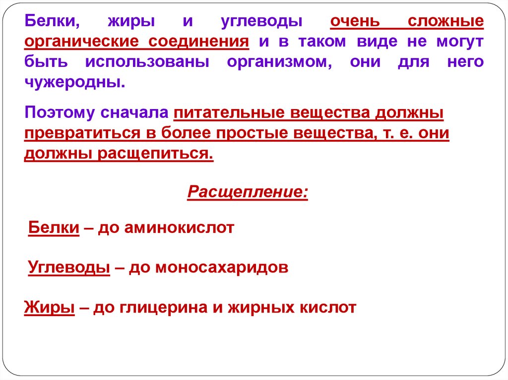 В какой части находятся питательные вещества