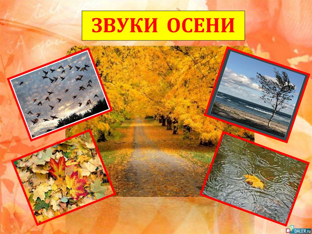 Краски и звуки природы. Осень признаки осени. Звуки осени. Звуки осени для дошкольников. Осенние звуки природы.