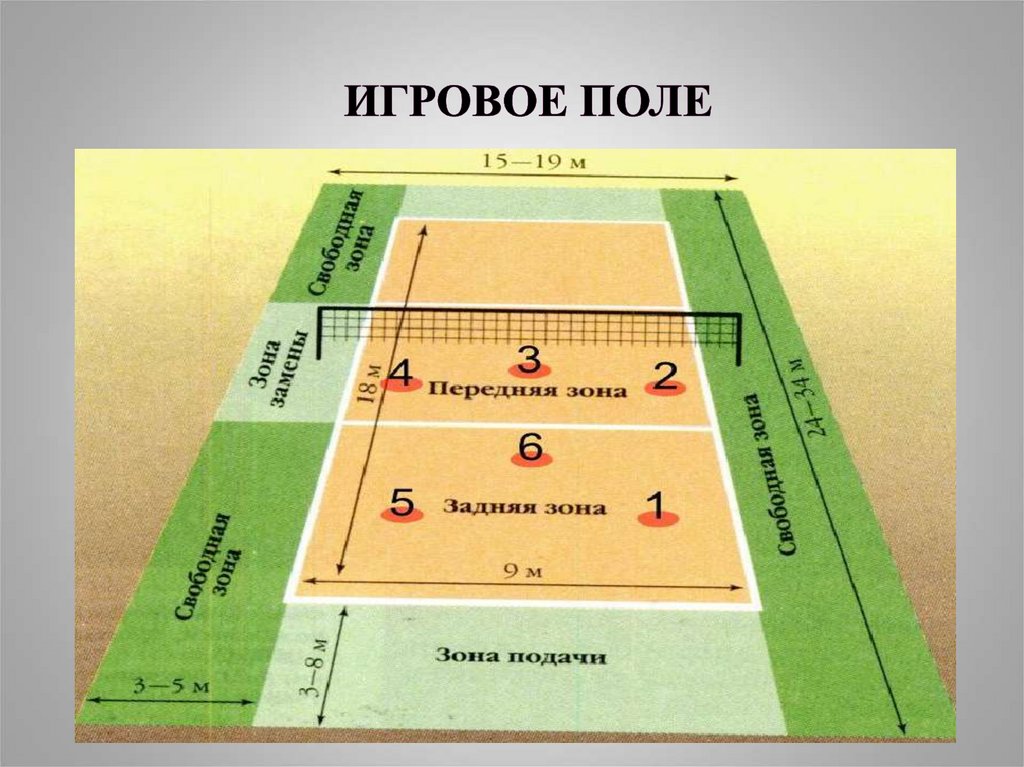 Волейбольная площадка рисунок схема