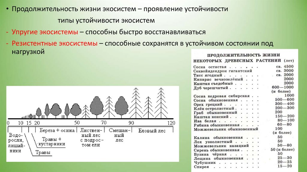 Срок жизни растения. Продолжительность жизни растений. Продолжительность жизни растений таблица. Продолжительность жизни различных растений. Устойчивость экосистемы.