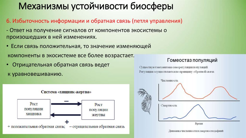 Причины и границы устойчивости биосферы к воздействию деятельности людей презентация