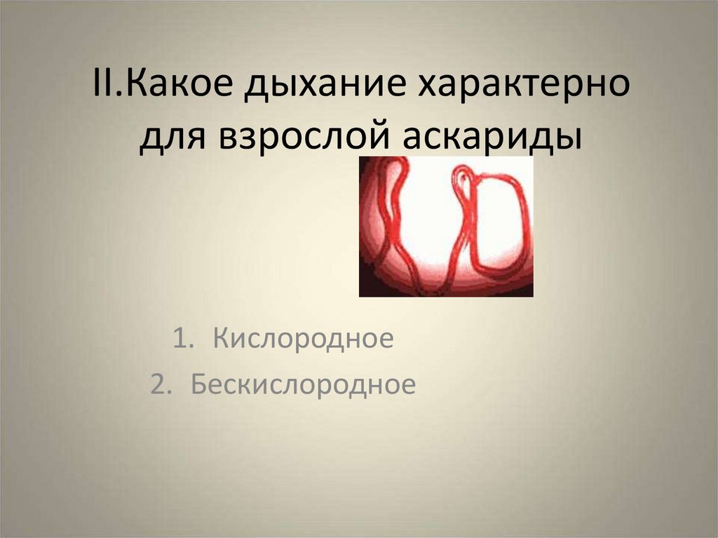 Кислородное дыхание. Для взрослой аскариды характерно дыхание. Какое дыхание характерно для взрослой аскариды. Для взрослой аскариды характерно кислородное дыхание.