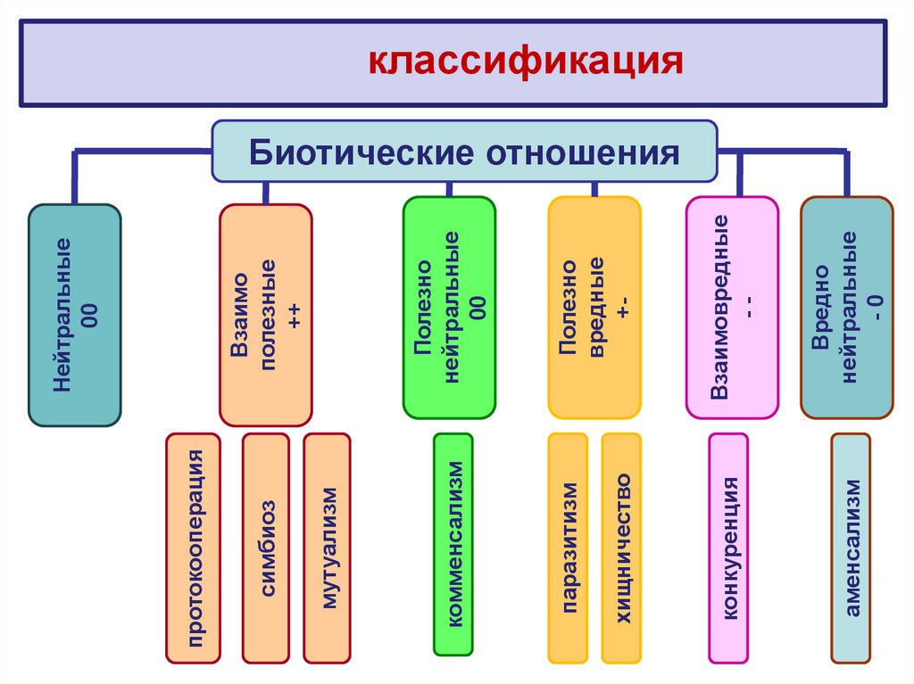 Биотические взаимодействия сколько групп. Классификация биотических взаимодействий таблица. Типы биотических взаимодействий схема. Классификация биотических отношений. Типы биотических взаимодействий организмов.