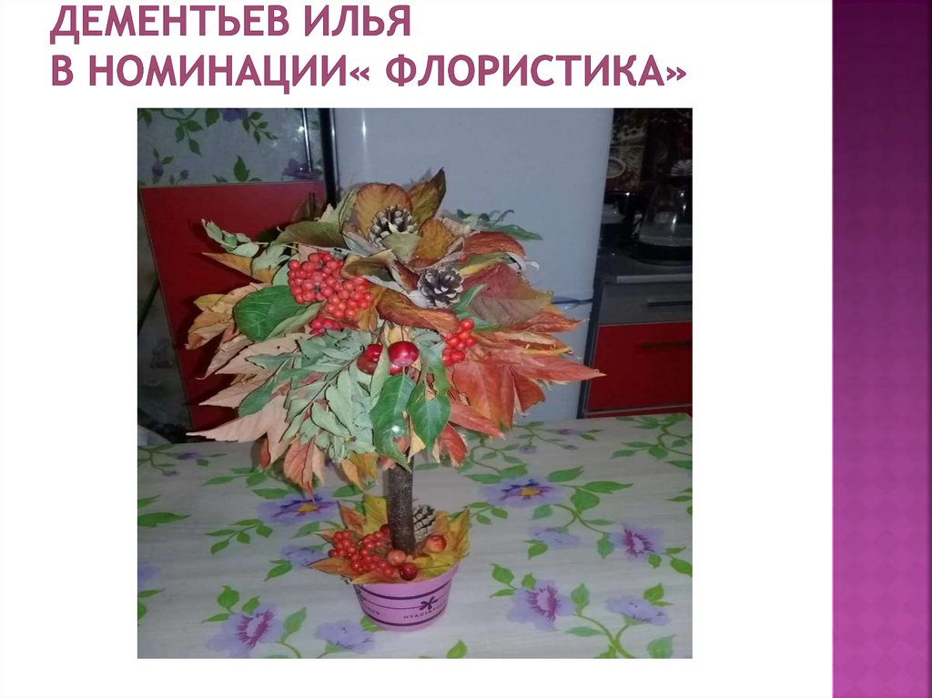 Дементьев Илья в номинации« Флористика»