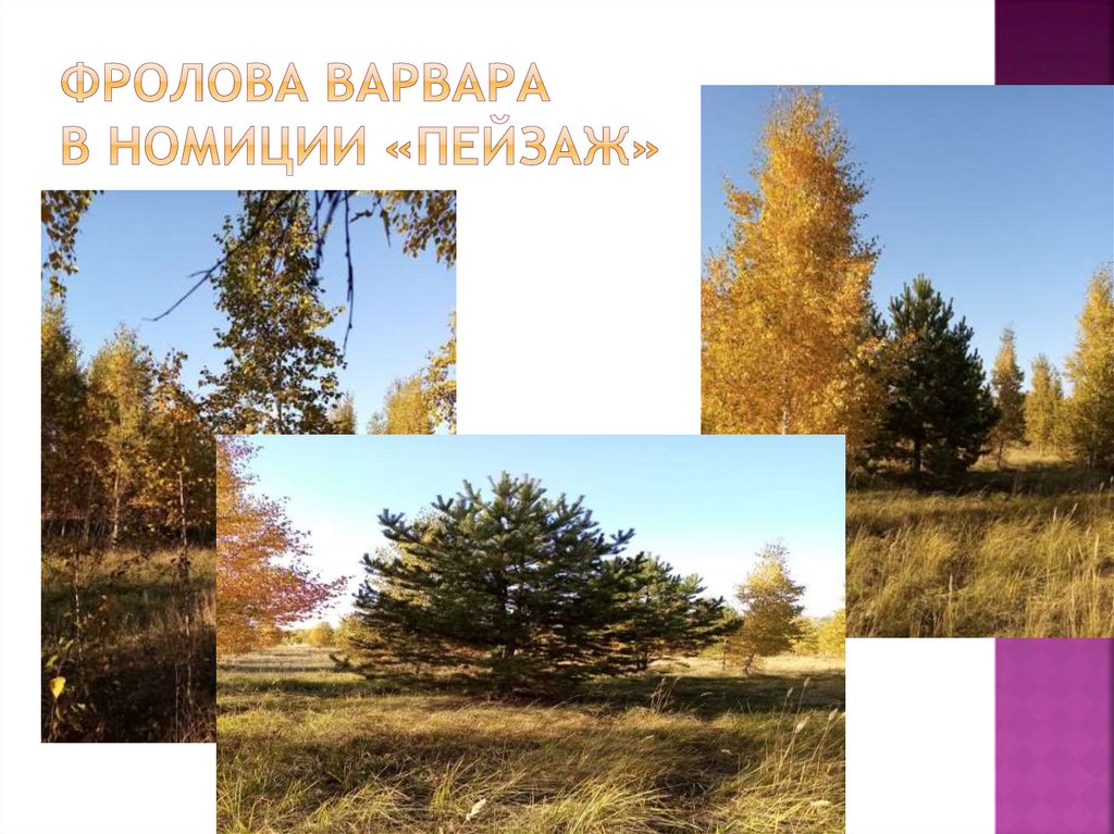 Фролова Варвара в Номиции «Пейзаж»