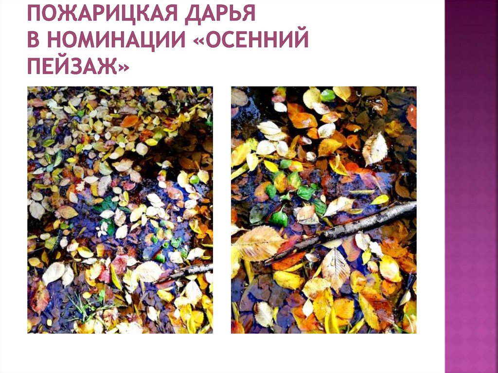 Пожарицкая Дарья в номинации «осенний пейзаж»