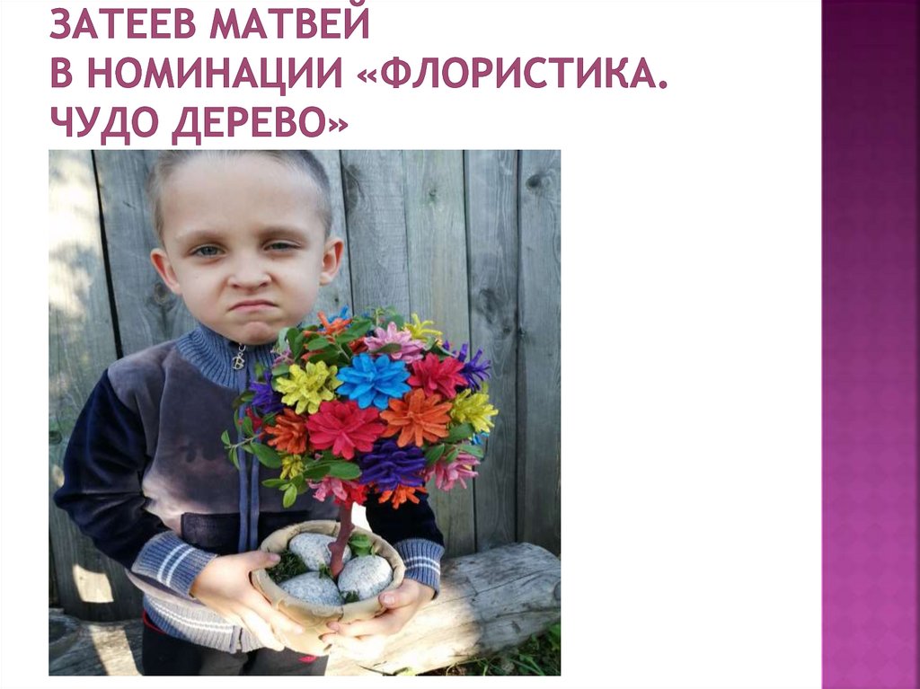 Затеев матвей в номинации «флористика. Чудо дерево»