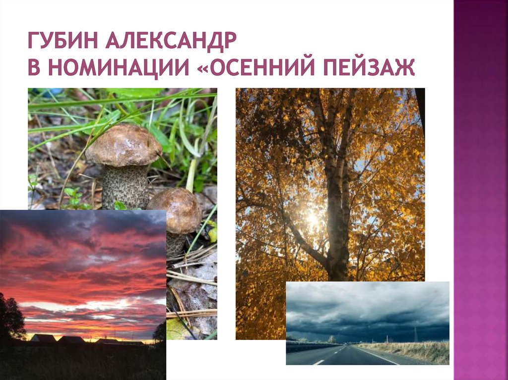 Губин Александр в номинации «ОСЕННИЙ ПЕЙЗАЖ
