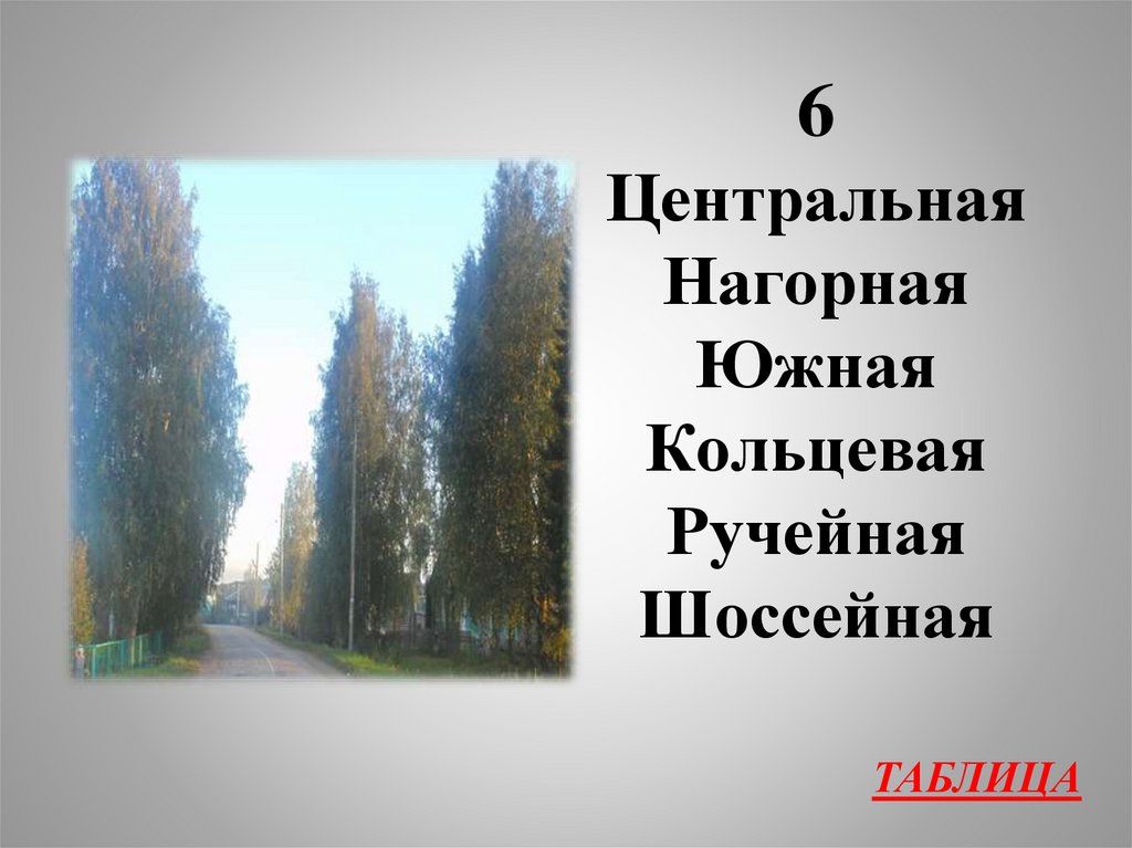 6 Центральная Нагорная Южная Кольцевая Ручейная Шоссейная