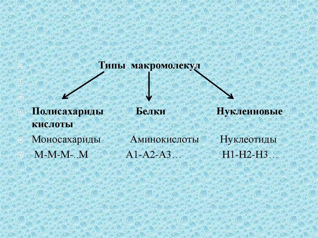 Нуклеиновые кислоты моносахариды. Типы макромолекул. Полимерная цепь нуклеиновая кислота. Виды структуры макромолекулы. Белки нуклеиновые кислоты полисахариды.