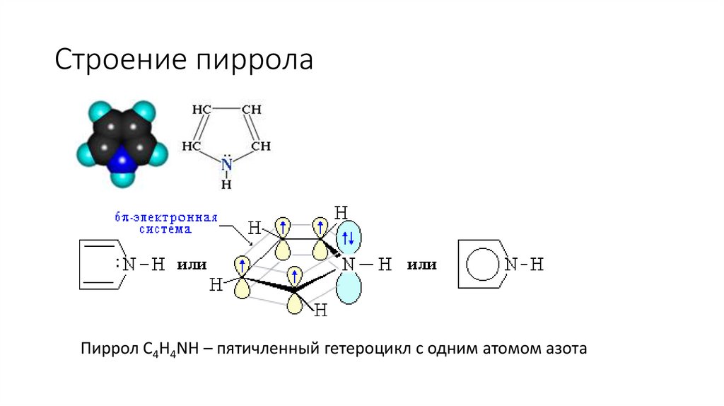 S2 строение. S2 строение