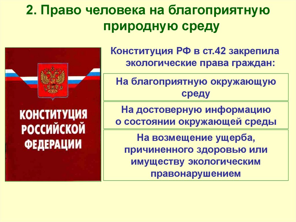 Проблемы российской конституции