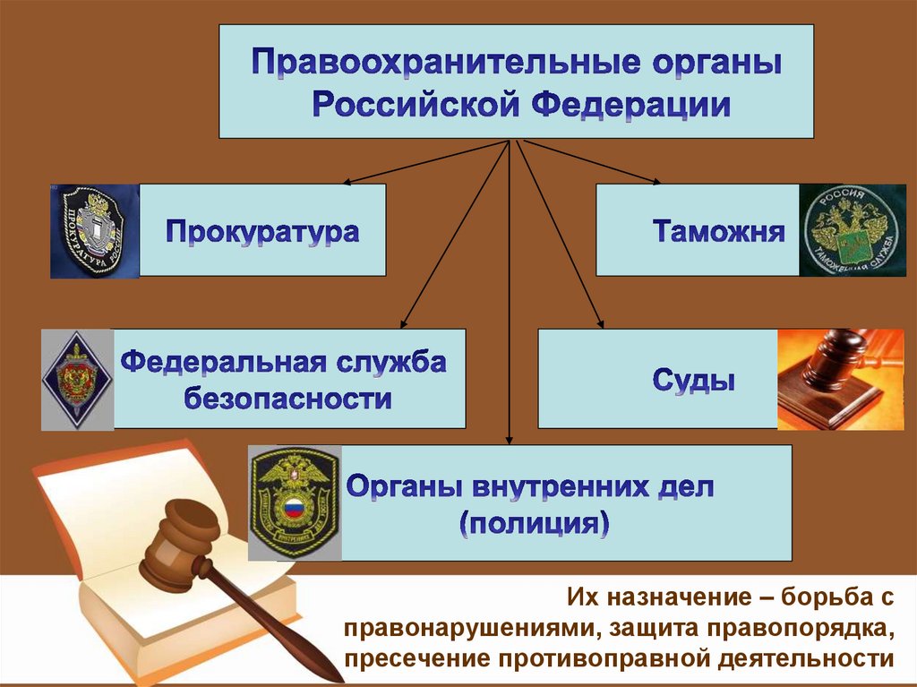 Организация управления правоохранительных органов