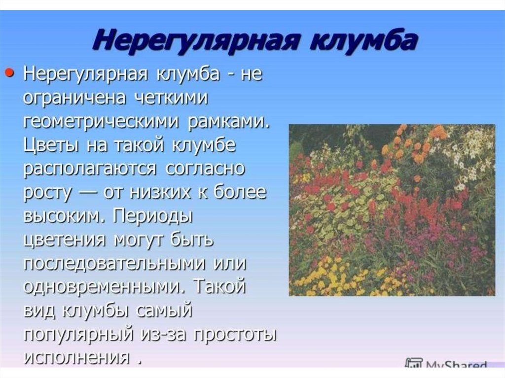 Виды клумб презентация