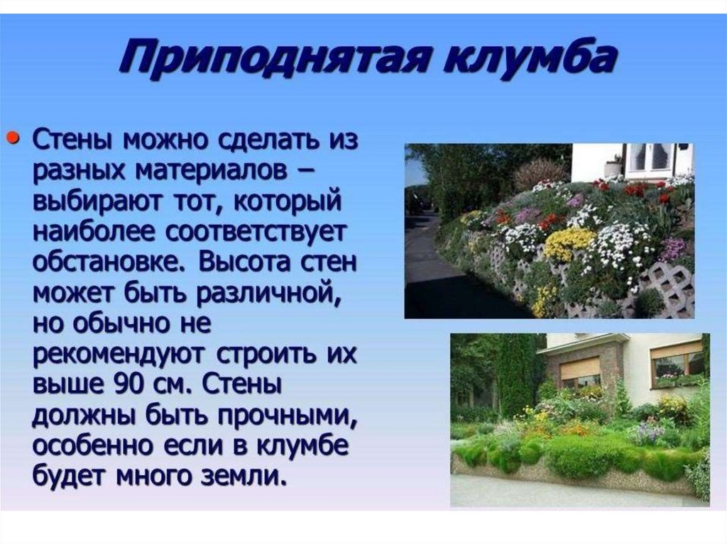 Виды клумб презентация