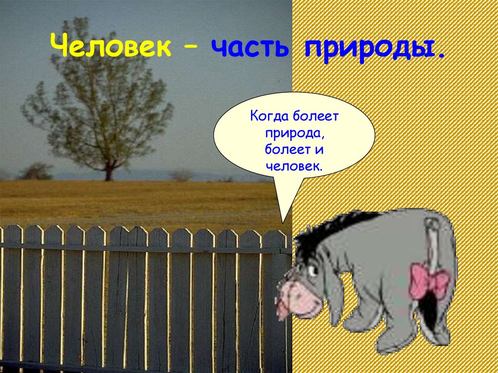 Человек – часть природы.