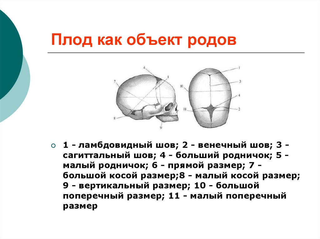 Измерение родничка. Измерение размеров головки плода. Размеры головки плода в акушерстве. Размеры головы плода Акушерство. Диаметры головки плода.
