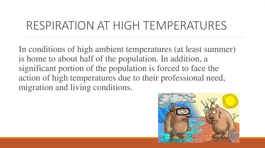 RESPIRATION AT HIGH TEMPERATURES